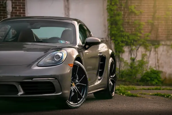 Casino Spin Pug Android/iOS App